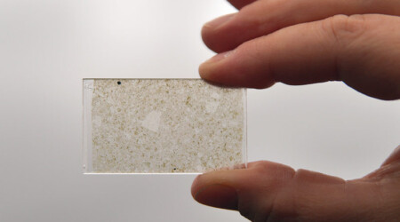 Standarddünnschliff